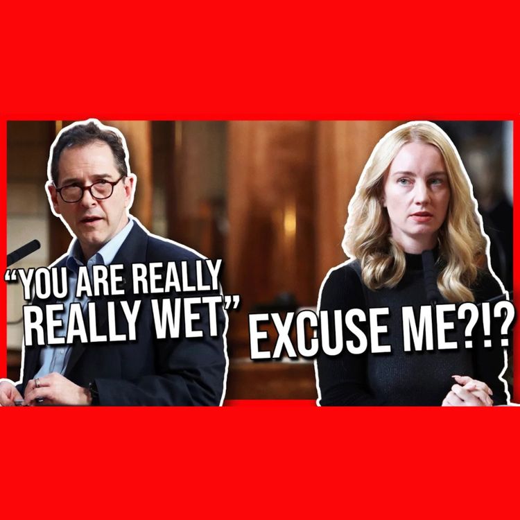 cover art for Nebraska Lawmaker Reacts to "Gross" Remark from Male Colleague 