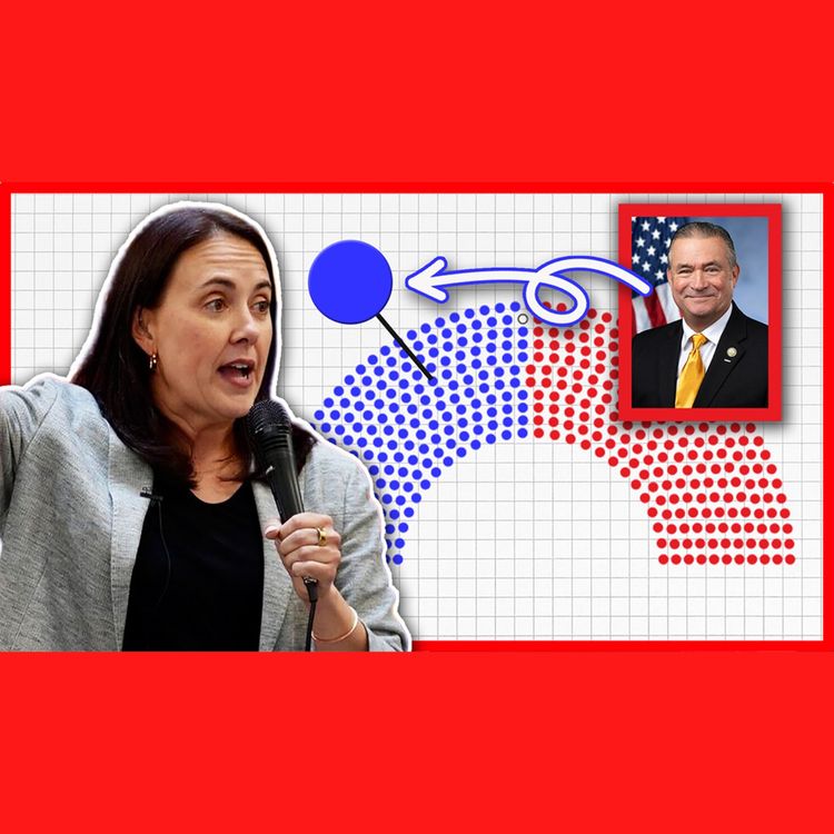 cover art for Can Democrats Flip Omaha's House Seat? Denise Powell Thinks So.