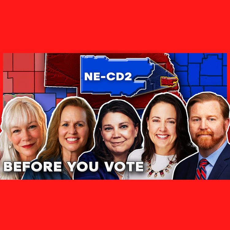 cover art for LAST CALL: Final Pitches From Every NE-02 Democratic Candidate