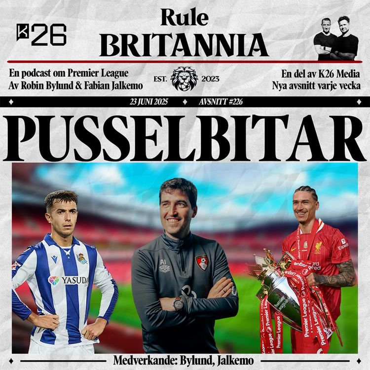 cover art for #226 Pusselbitar