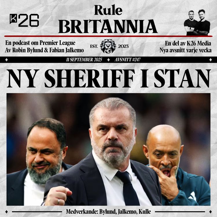 cover art for #247 Ny sheriff i stan
