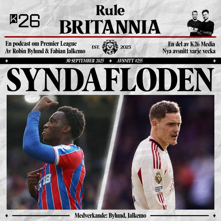 cover art for #255 Syndafloden