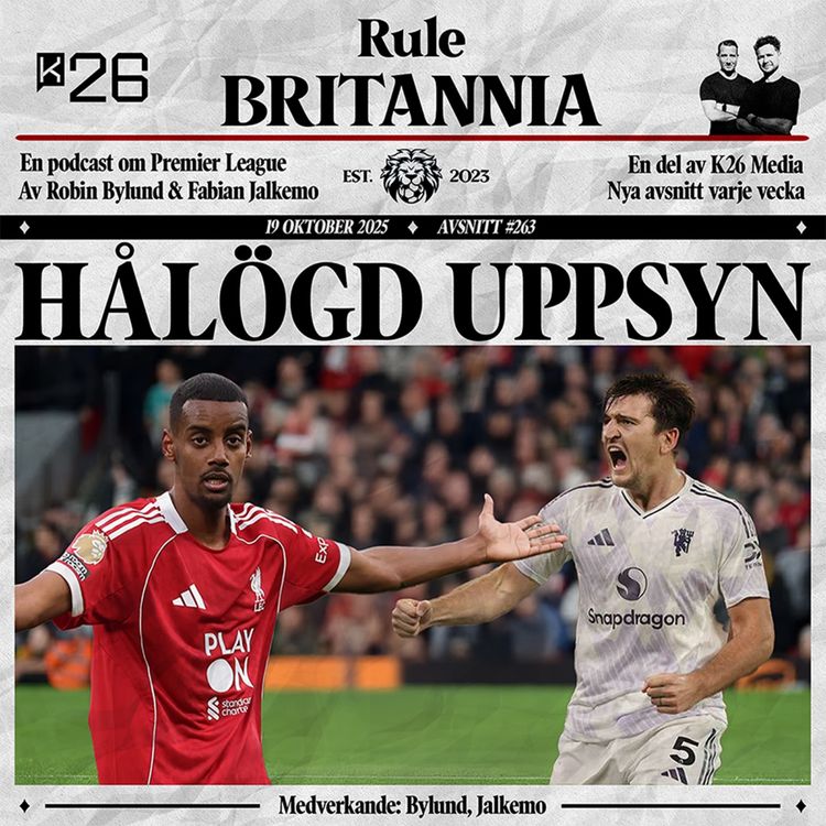 cover art for #263 Hålögd uppsyn