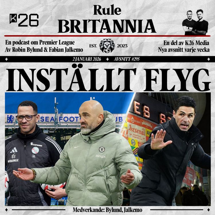 cover art for #295 Inställt flyg