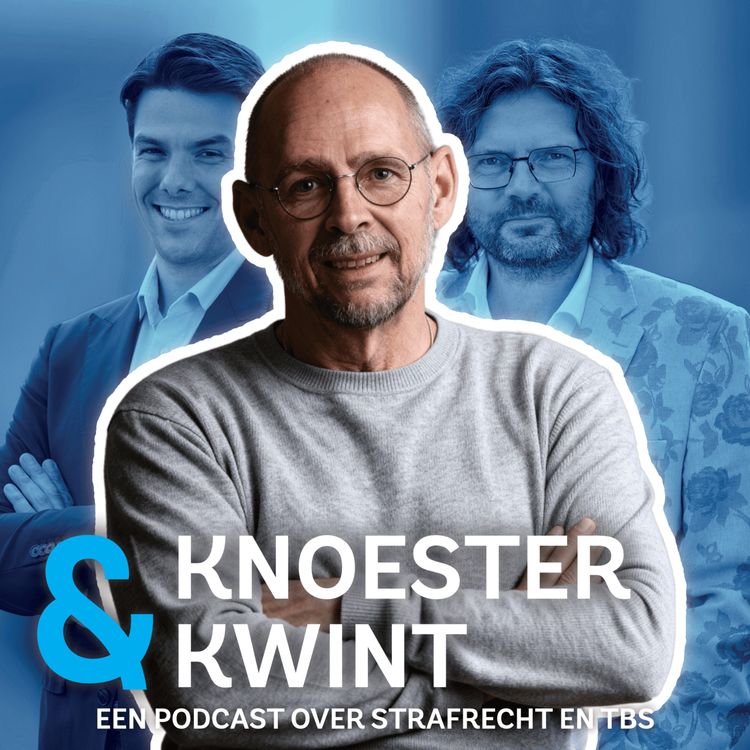 cover art for “Ik hoorde stemmen die me vertelden wat ik moest doen” de psychose van Toon Walravens (Ervaringsdeskundige)