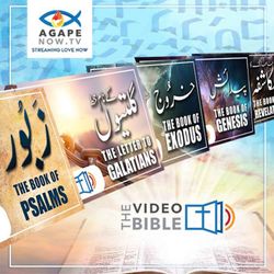 cover art for Audio Urdu Bible ( AgapeNow.TV)