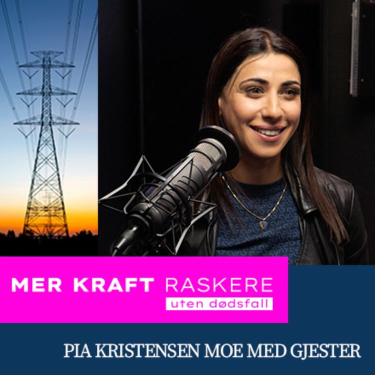 cover art for Hvordan er det å være dame i et mannsdominert yrke? Med Amy Mir, Tilkomstteknikker i Vertikal Service