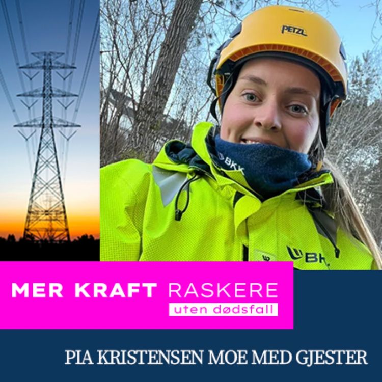 cover art for Hvordan kan vi øke antallet energimontører? Med Anne-Marte Mehammer, Energimontør i BKK