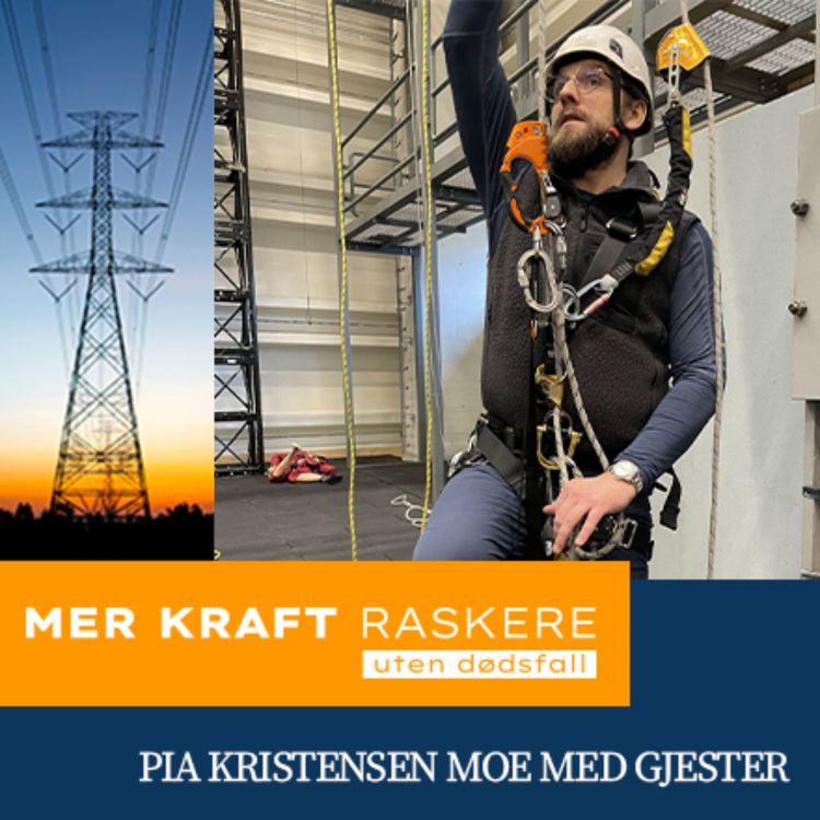 cover art for Risikovurdering uten ansvar er meningsløst. Med Thomas Gundersen