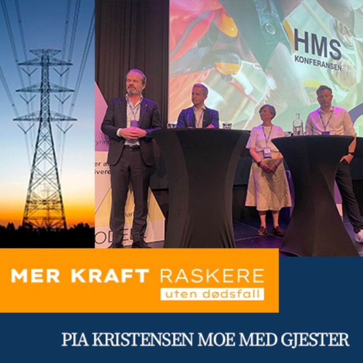 cover art for Topplederdebatt på Fornybar Norges HMS-konferanse: "Rollemodell - hva er leders rolle i oppnåelse av HMS-strategien?" med Eidsiva, Nettpartner, Norgesnett og Lnett