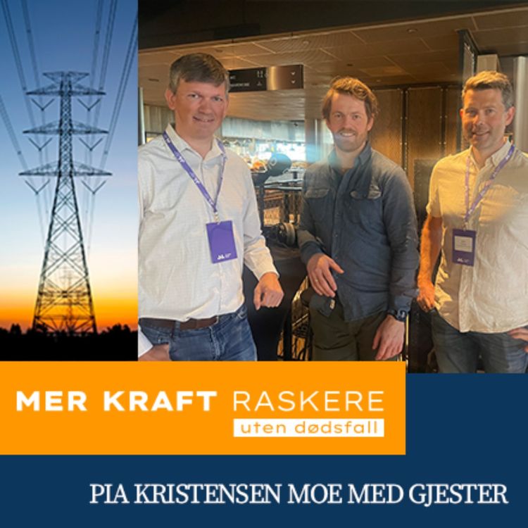 cover art for Kraftbransjen trenger en felles forståelse for risikovurdering - Med Alme Solutions, Saudefaldene og SKS