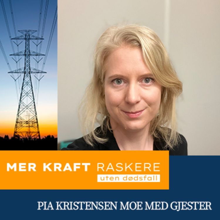 cover art for En H-verdi gir oss ikke så mye, det er kun tall! Med Karoline Sønnesyn fra Eviny