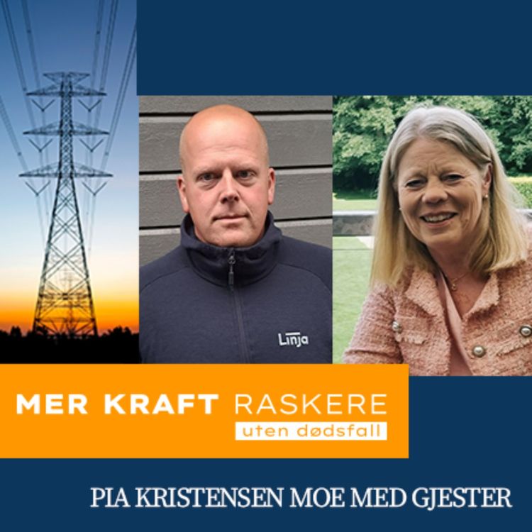 cover art for AMU + vernetjenesten = bedre sikkerhet? Med Else Magrethe Larsen og Torbjørn Jacobsen fra Linja 