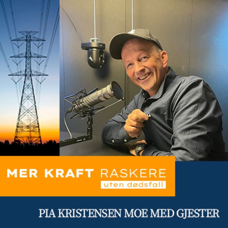 cover art for Fra en granskningsleder til en annen granskningsleder! Med Terje Busk fra Nettpartner