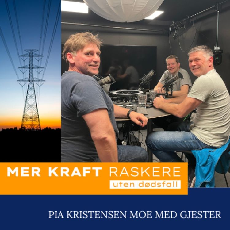 cover art for Håndterer risiko, opplæring og beredskap i praksis Med Idar Wallumrød, Finn Magne Trigger, Cato Fjeldet