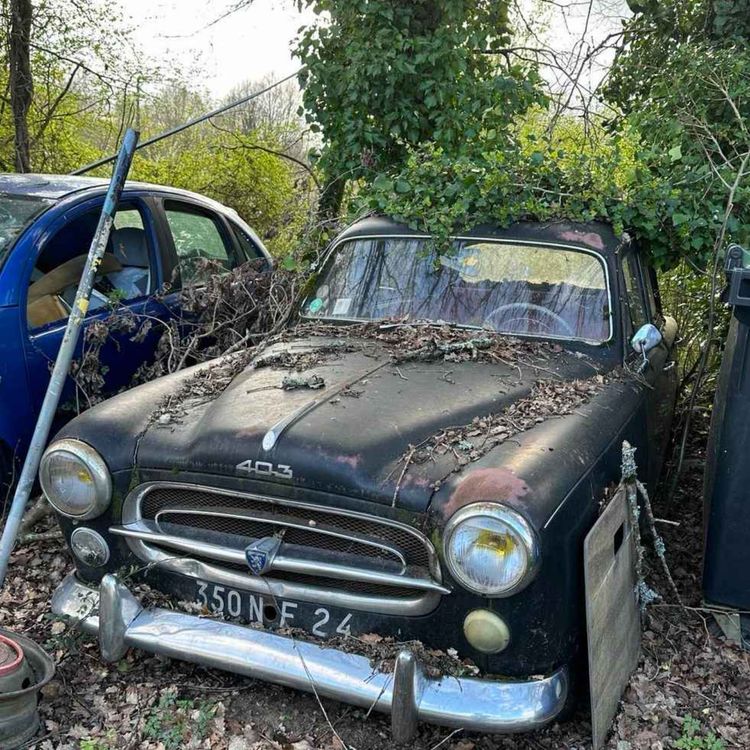 cover art for Bonus: Fransk verksted-safari