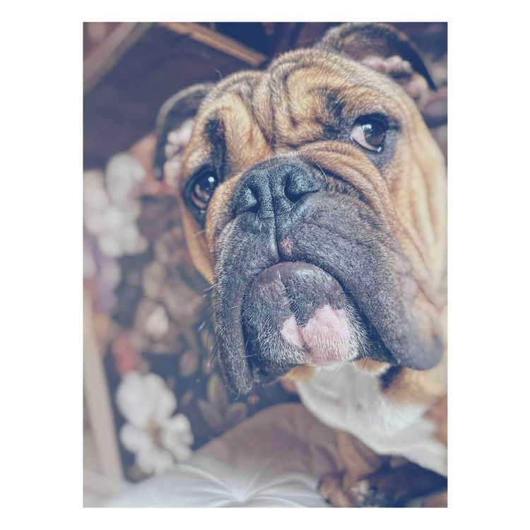 cover art for 10 siste: Cayenne turbo eller oljeskift på 619.000 km