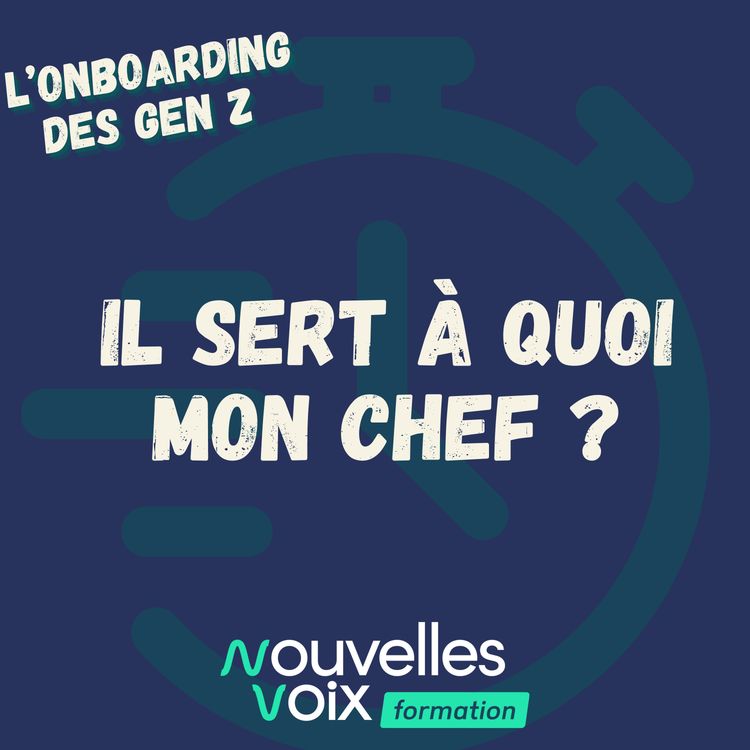 cover art for Il sert à quoi mon chef ?