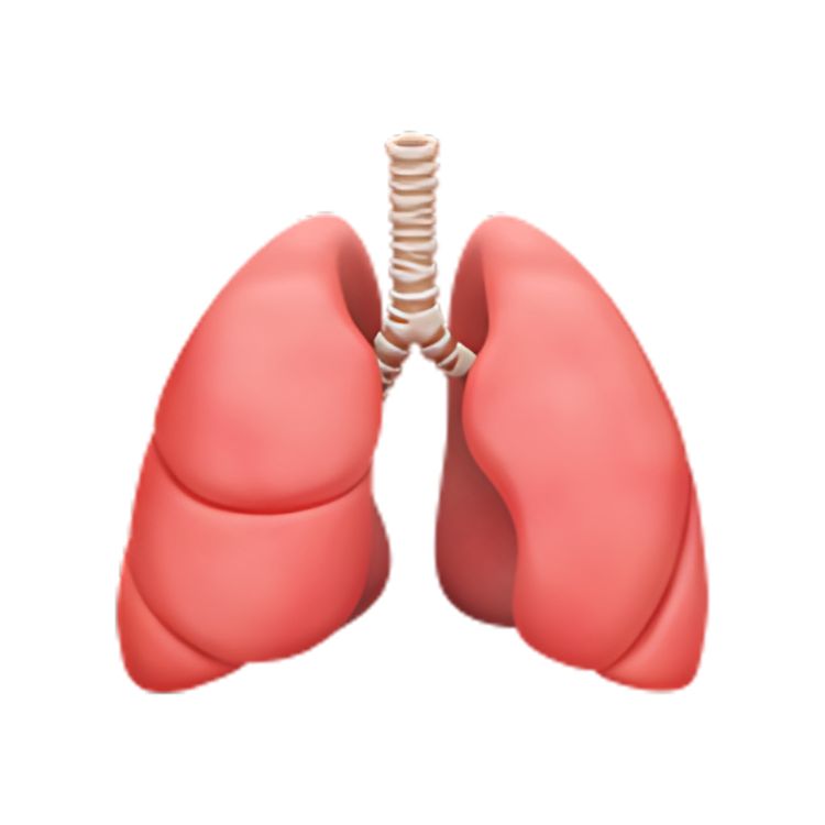 cover art for Merci de ne pas m’avoir sauvé la vie