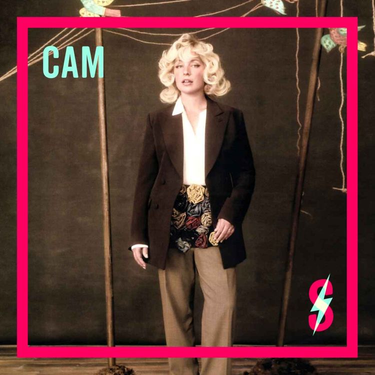 cover art for Cam's Spark Is Indigo Girls' All That We Let In