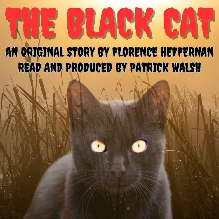 cover art for The Black Cat