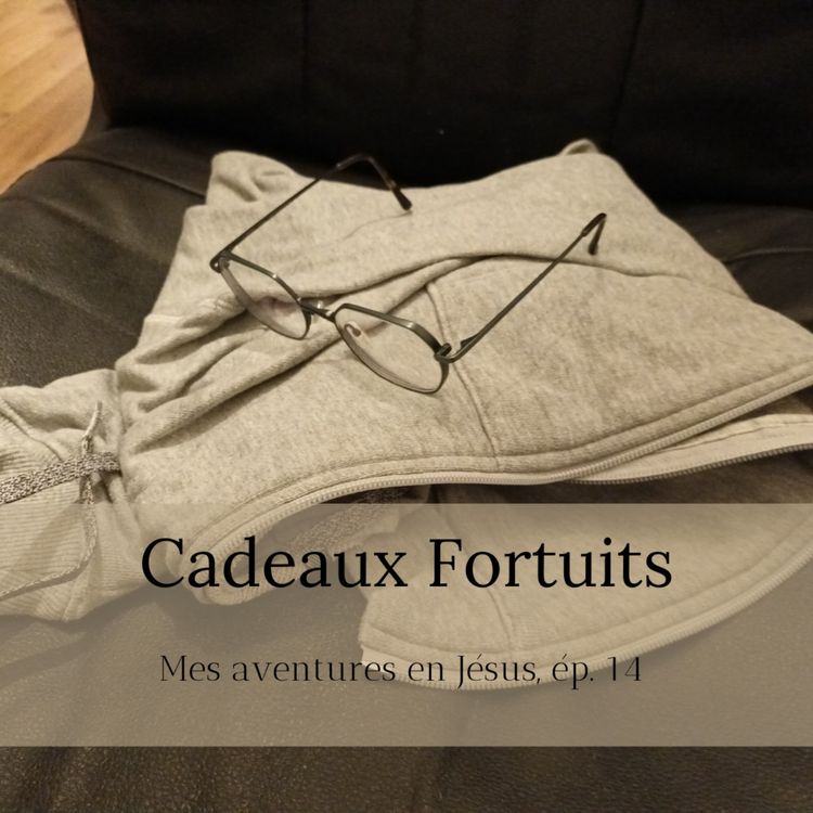 cover art for Cadeaux Fortuits