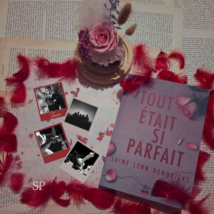 cover art for Tout était si parfait