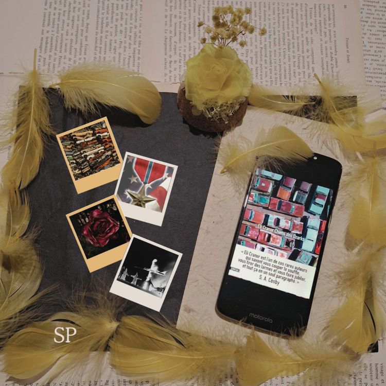 cover art for Chiens des Ozarks