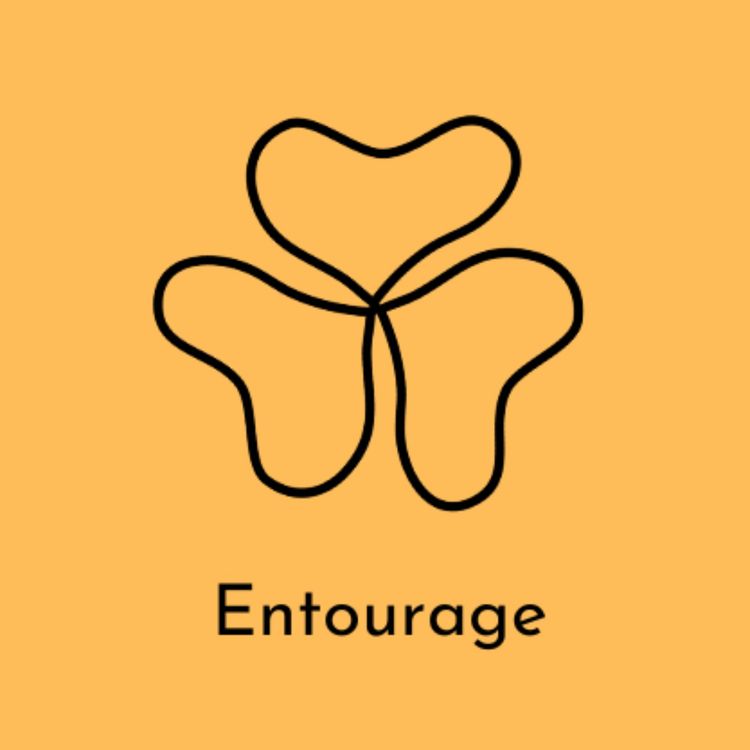 cover art for Entourage : introduction