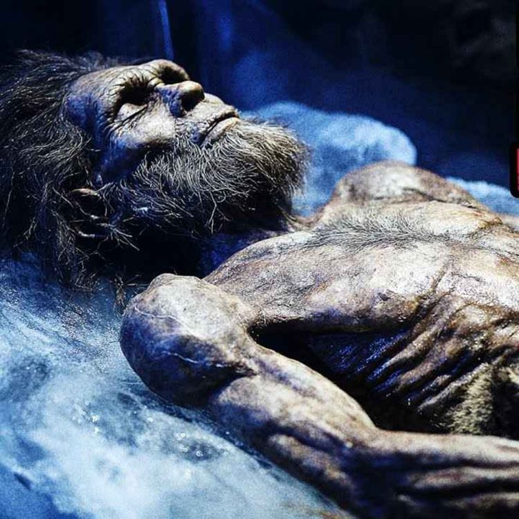 cover art for UN HOMBRE DE LAS CAVERNAS FUE HALLADO  VIVO EN LA ANTÁRTIDA (NO ESPERES VER ESTO EN LAS NOTICIAS)