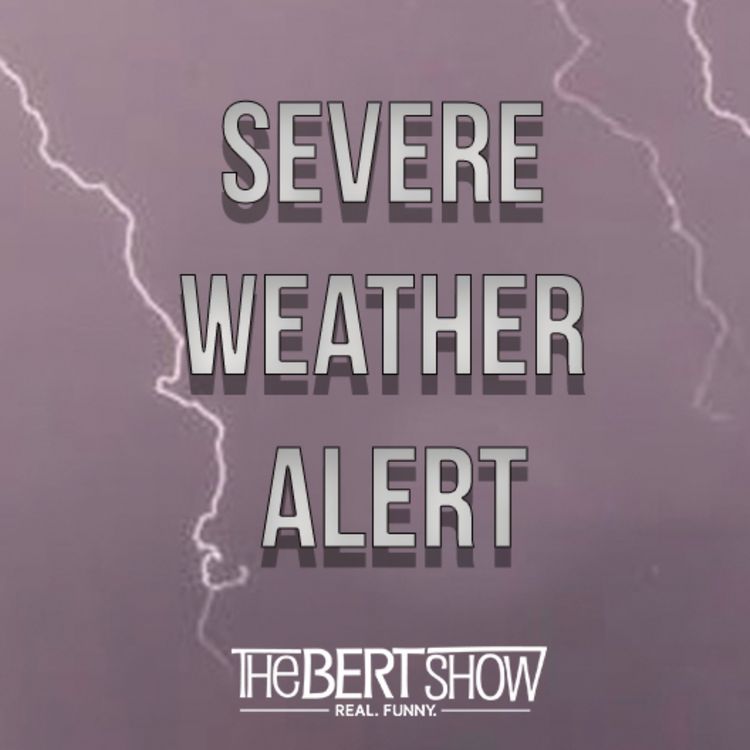 cover art for Meteorologist Jonathan Stacey: How Hurricane Helene Will Affect Georgia