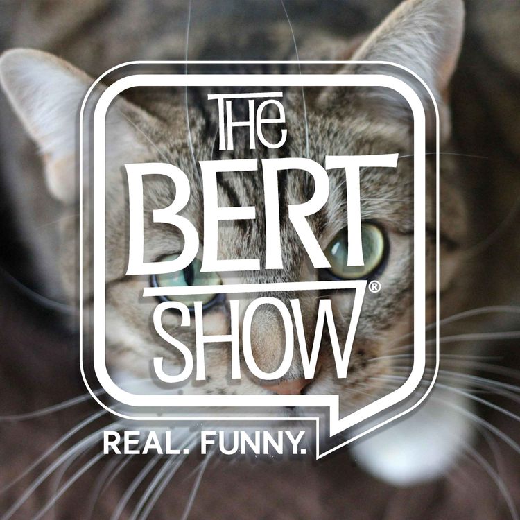 cover art for She’s Convinced Her Neighbor Stole Her Cat!