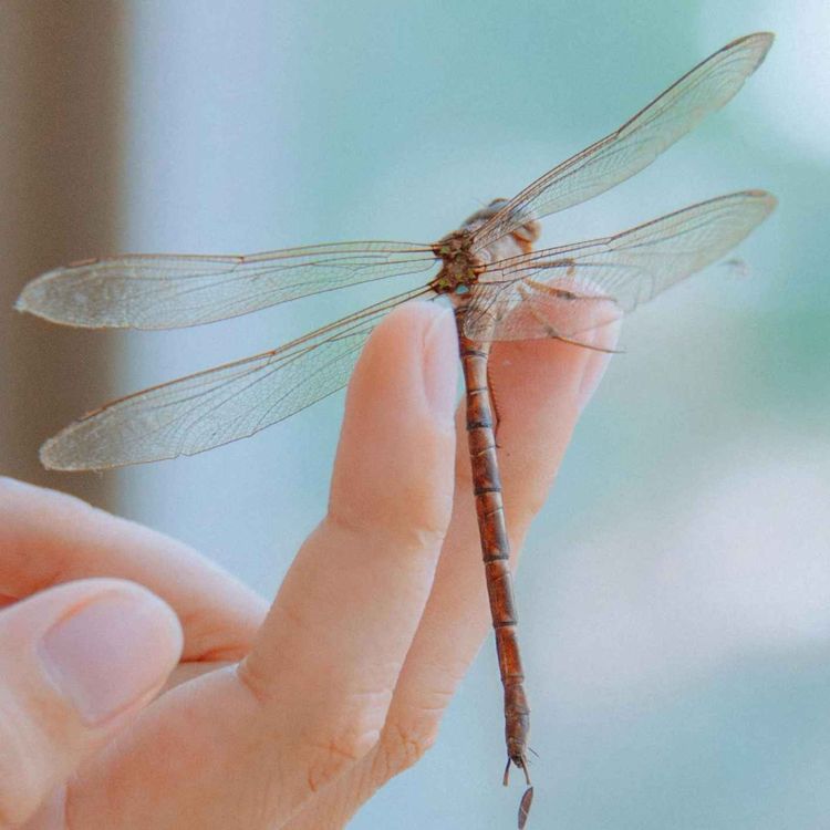 cover art for Cassie Shares The Signs She Received From The Other Side At Her Mom’s Funeral 