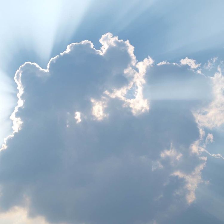 cover art for Die göttliche Zeit