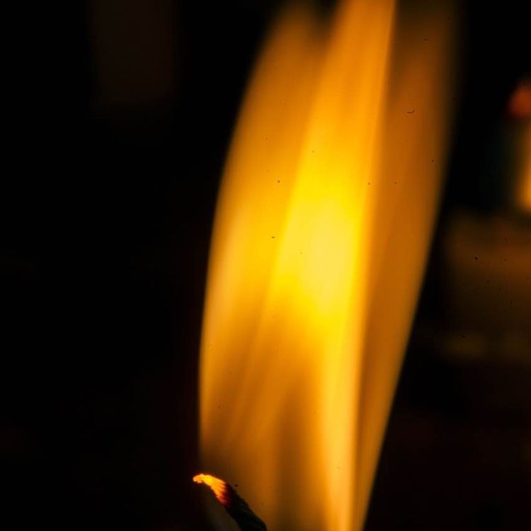 cover art for Das heilende Licht