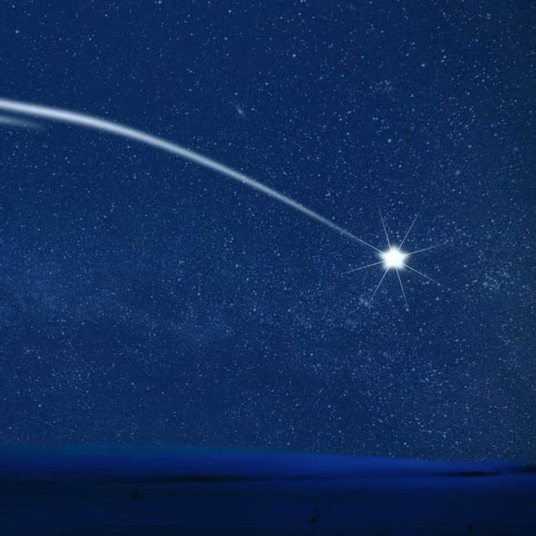 cover art for Die Schwingung der Liebe