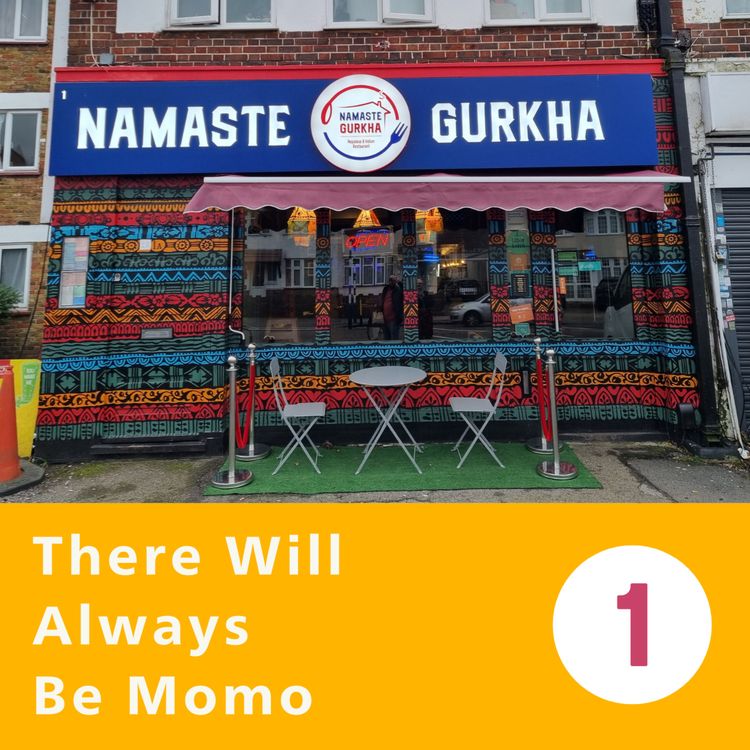 cover art for There Will Always Be Momo