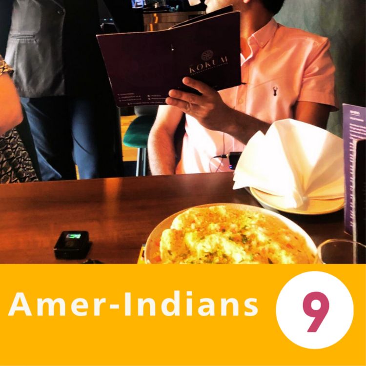 cover art for Amer-Indians