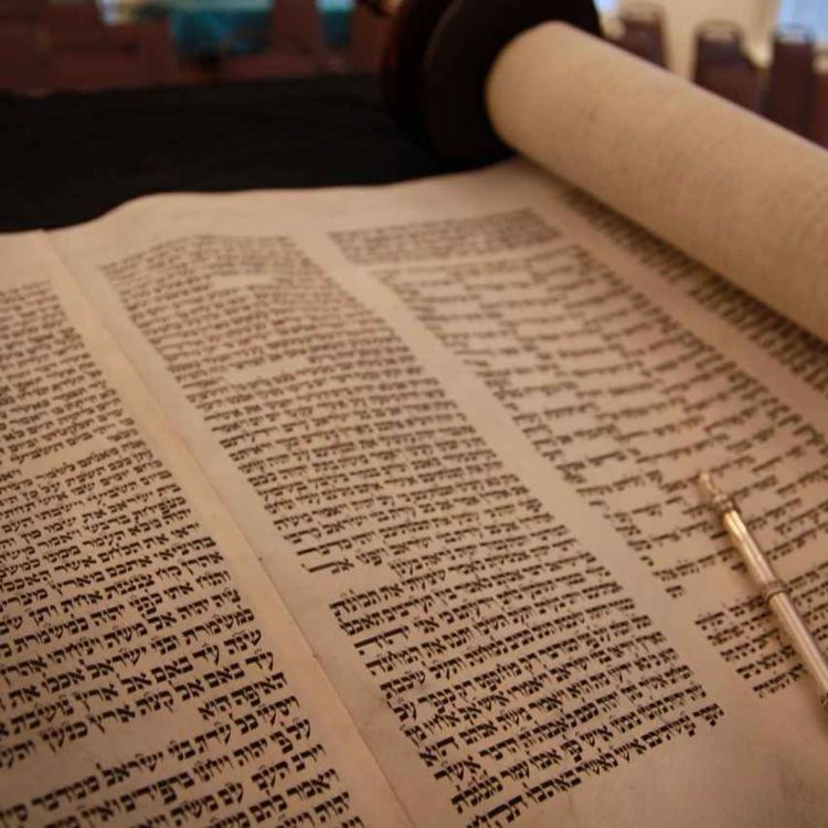 cover art for Jan 18 2026