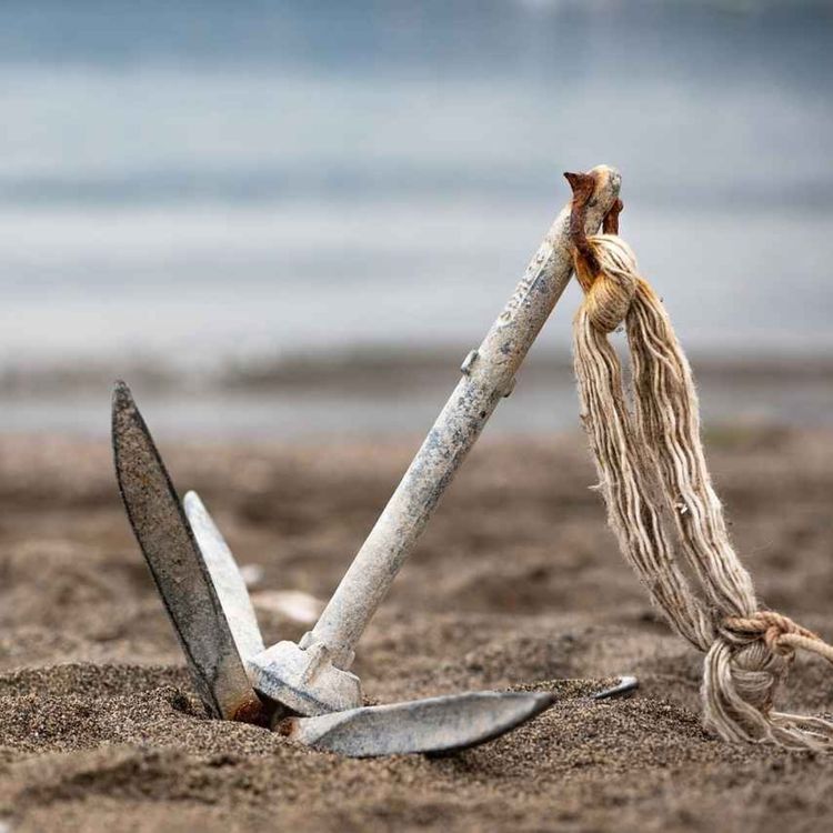 cover art for March 1 2026