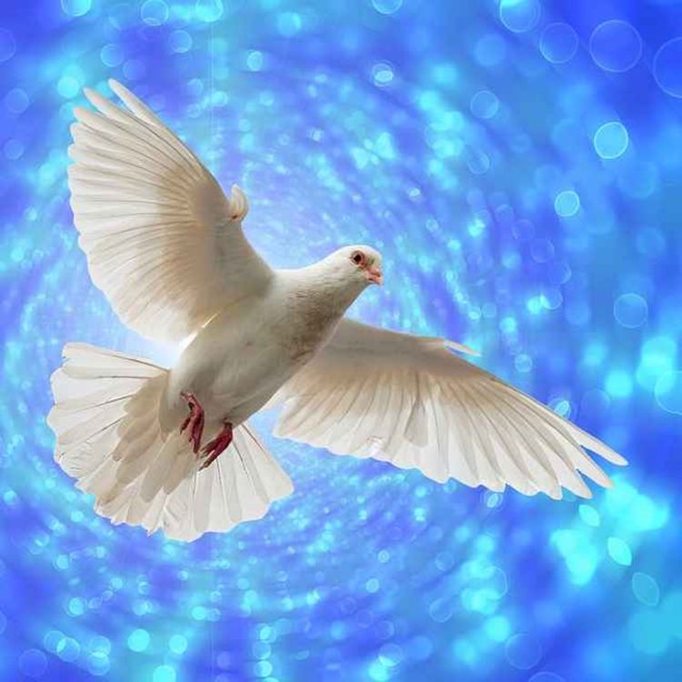 cover art for March 8 2026