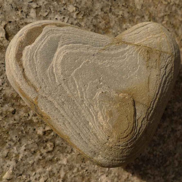 cover art for March 15 2026. Mothering sunday