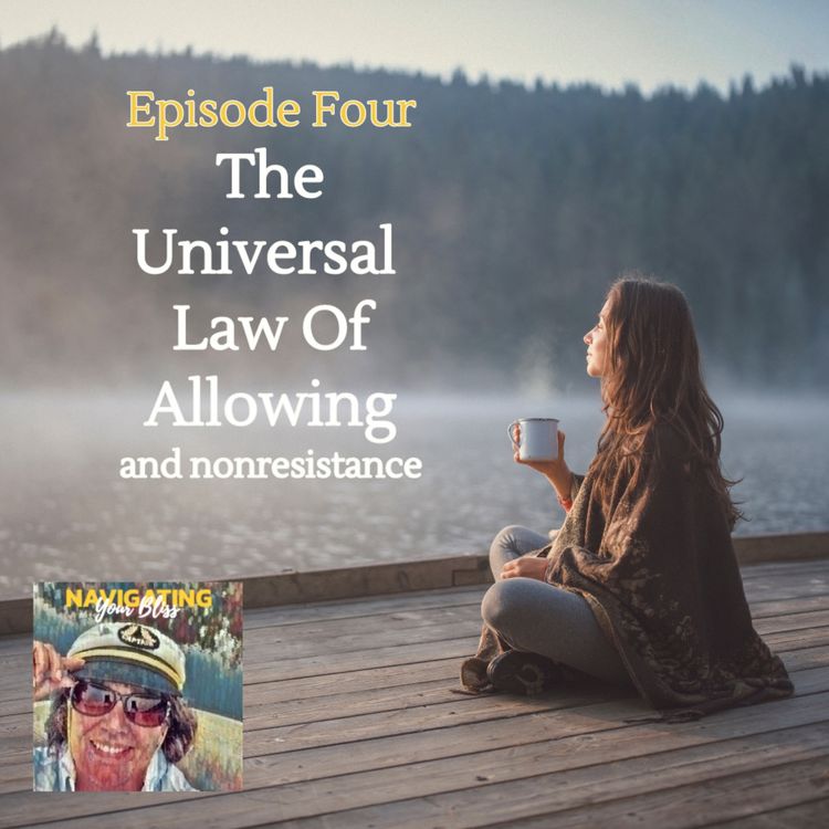 cover art for Episode 4 The Law Of Allowing