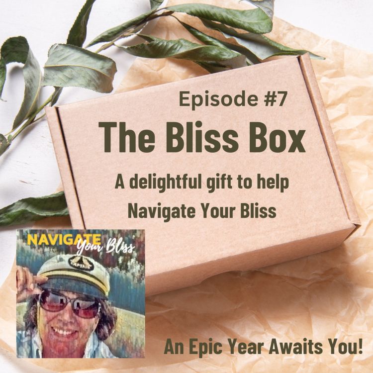 cover art for The Bliss Box