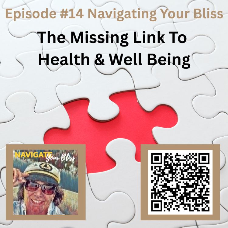 cover art for The Missing Link To Health & Well Being