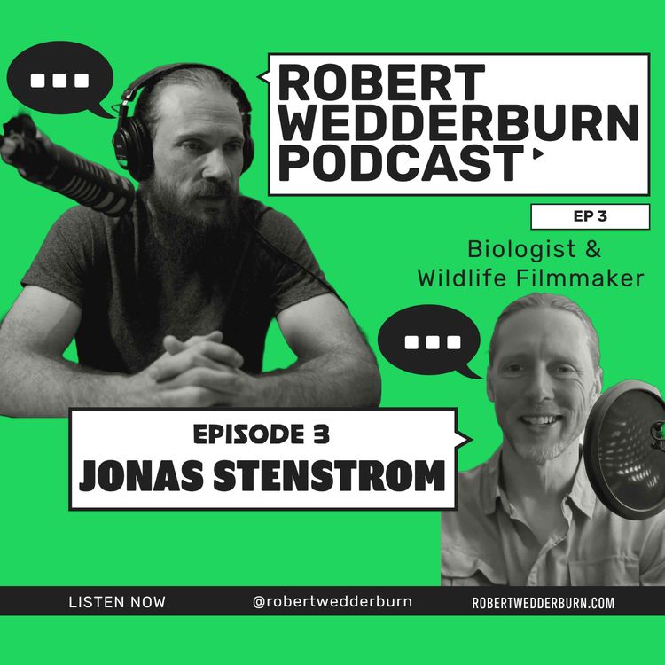 cover art for Robert Wedderburn Podcast Ep 3: Jonas Stenstrom