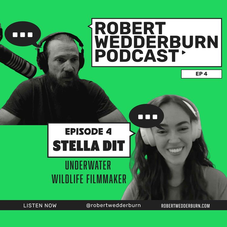 cover art for Robert Wedderburn Podcast Ep 4: Stella Ditt