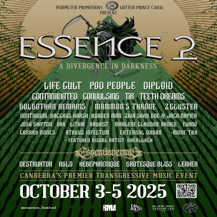 cover art for Guest Episode - Essence Festival 2025