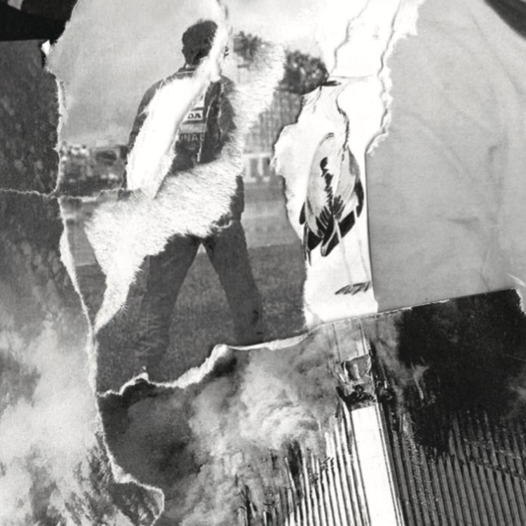 cover art for 11 Piège 