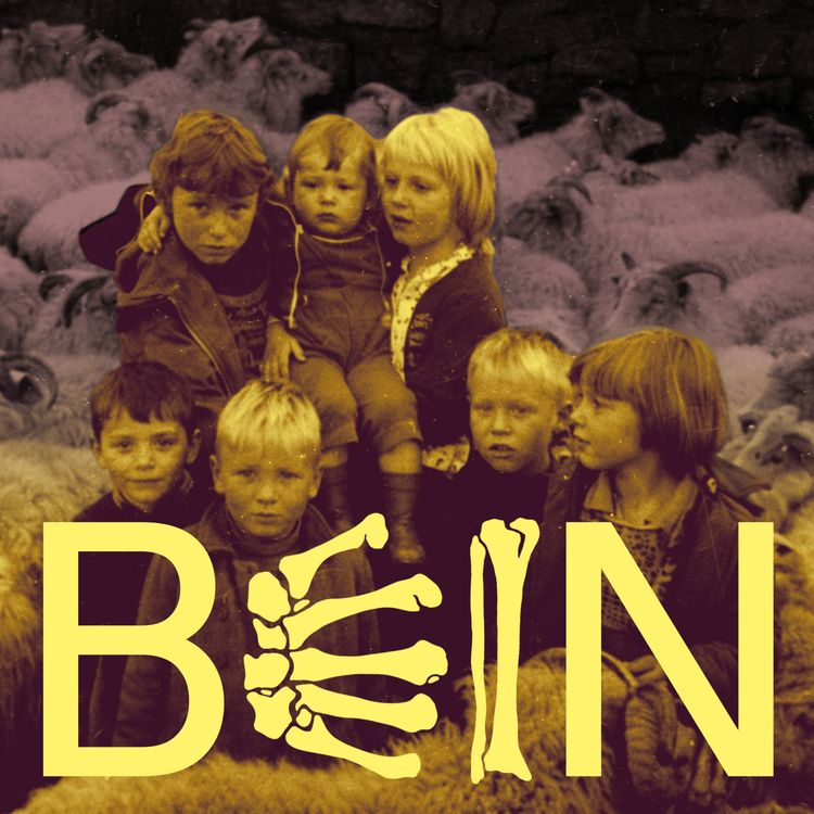 cover art for Bein 1/3: Lærleggurinn verndar okkur...